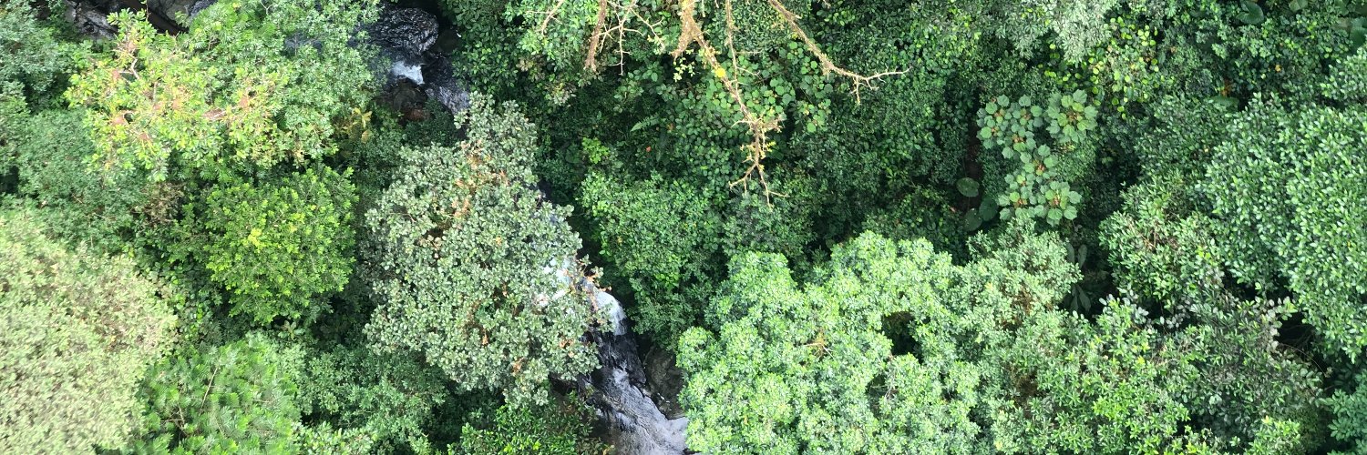 Güimar Vaca Sittic banner