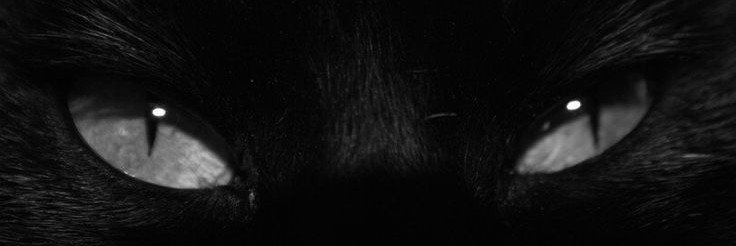 Navierbutkeon's profile banner image
