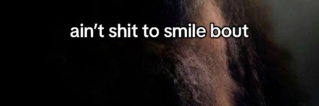 Drizzy banner