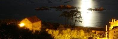 Who_4m1's profile banner image
