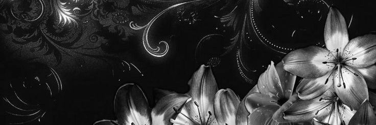 bibi !!🐙 banner