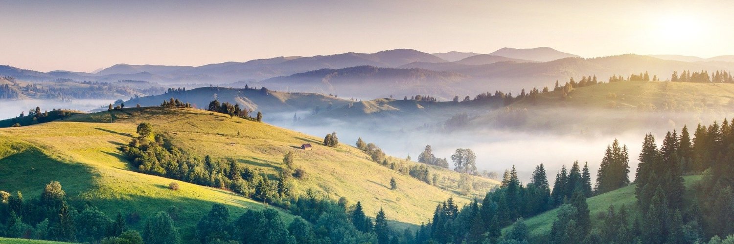 Alejandro Tejada C. banner