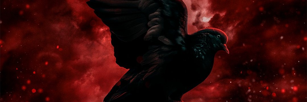 Ev Goth Pigeon banner