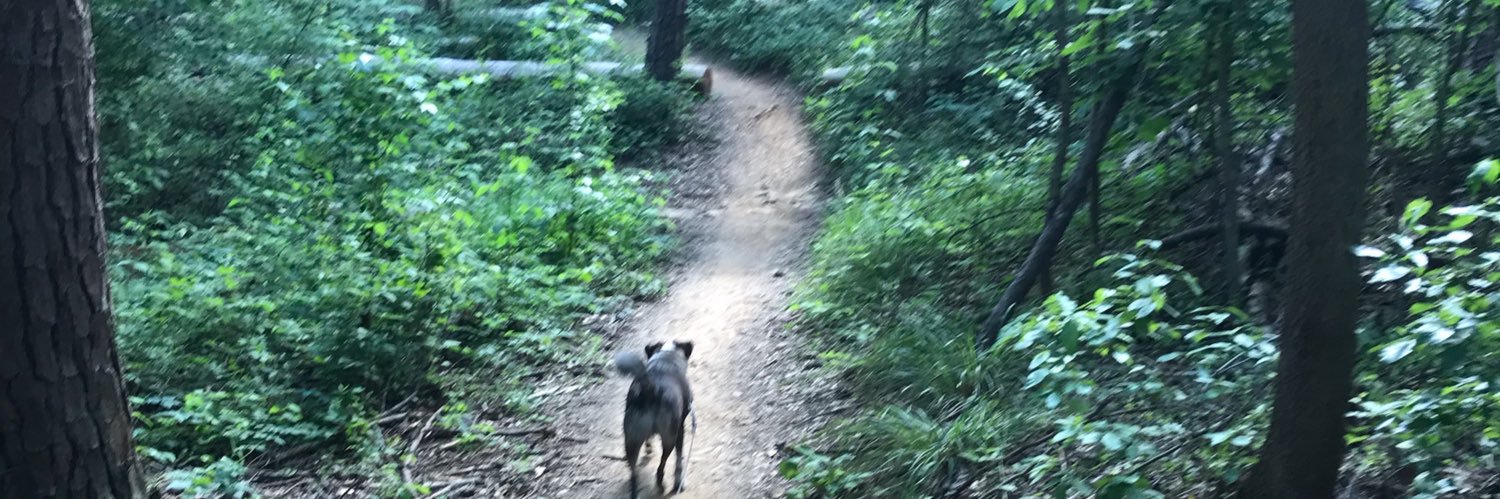 Scott Ratliff banner