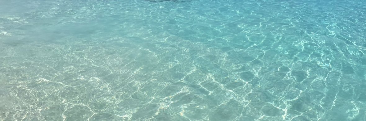 Tropicalsh3o's profile banner image