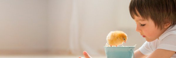 IgualdadAnimal Profile Banner
