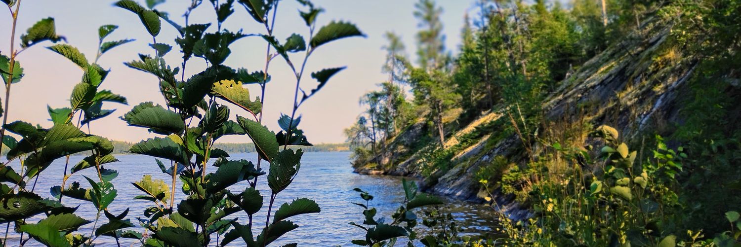 lynneakf's profile banner image