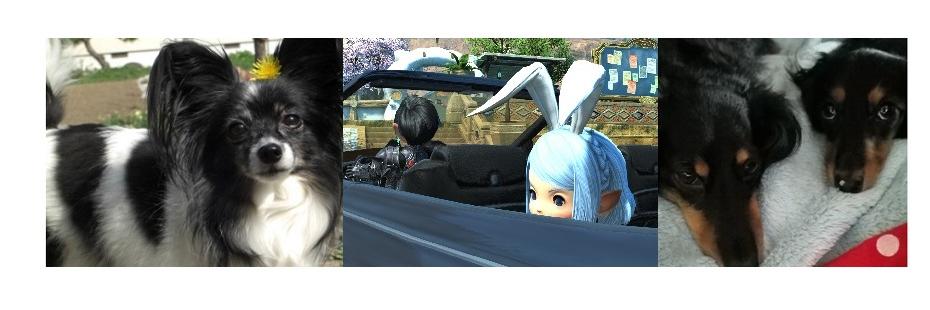 sheta_ff14's profile banner image