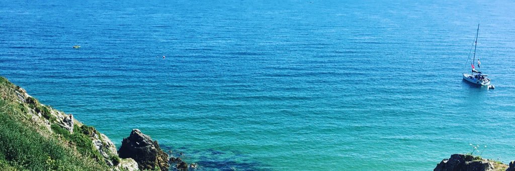 Jenilee banner