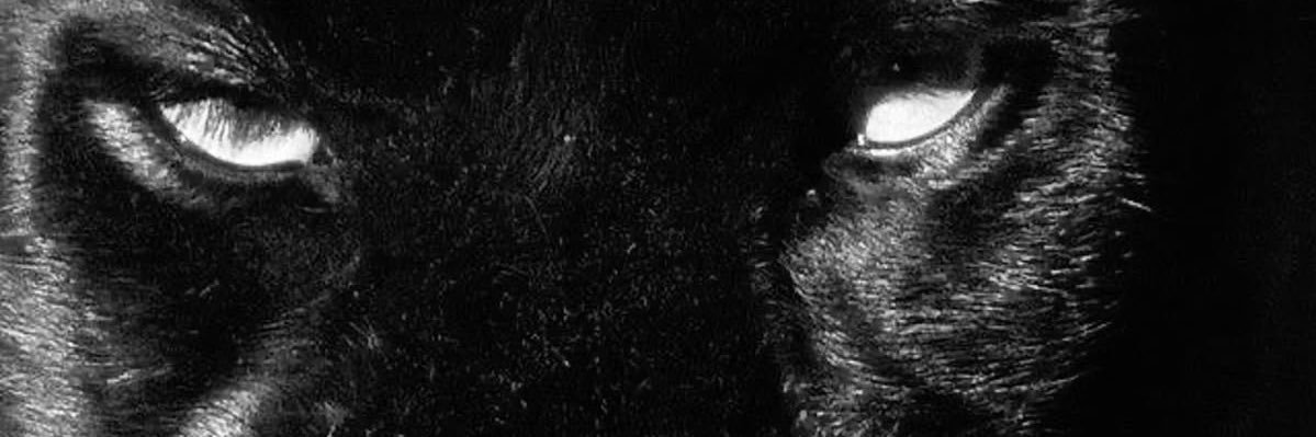 Tʜᴇ ᴅᴇᴠɪʟ; Mᴏʀɢᴀɴᴀ Mᴏʀᴛᴍᴀɪɴ banner