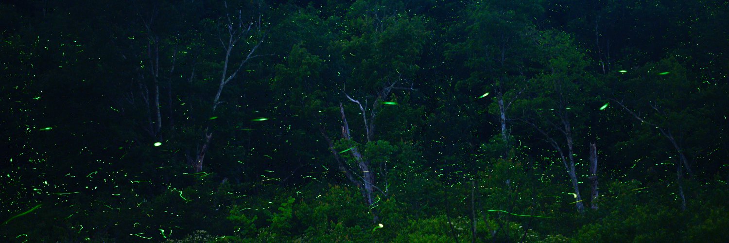 NDHopper's profile banner image