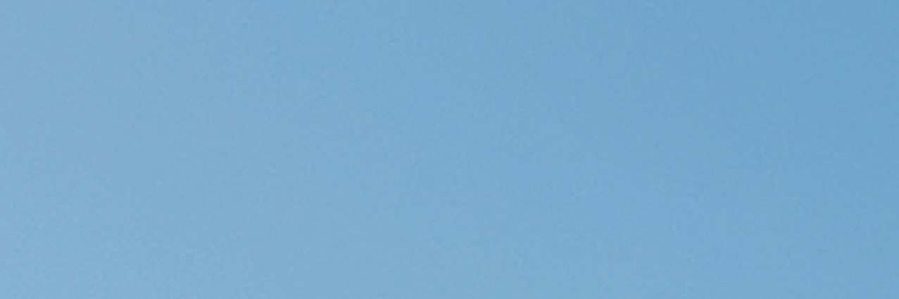 sumire banner