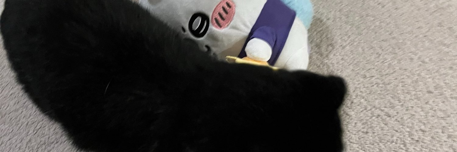 かい banner
