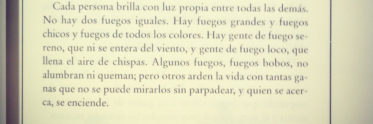 Mario Alberto banner