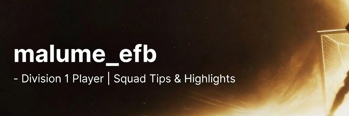 malume_efb's profile banner image