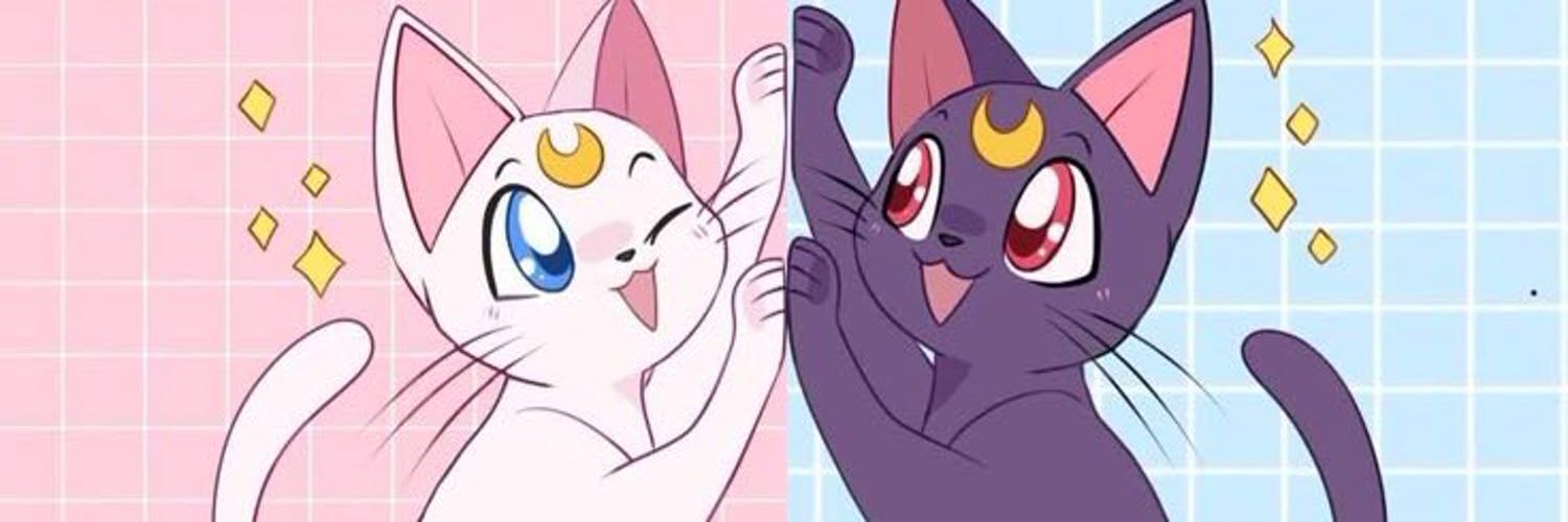 Emaratymt's profile banner image