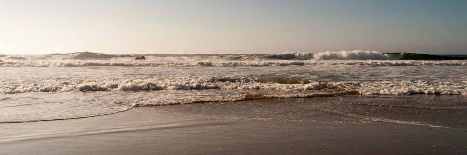 LittlePurpleCar's profile banner image