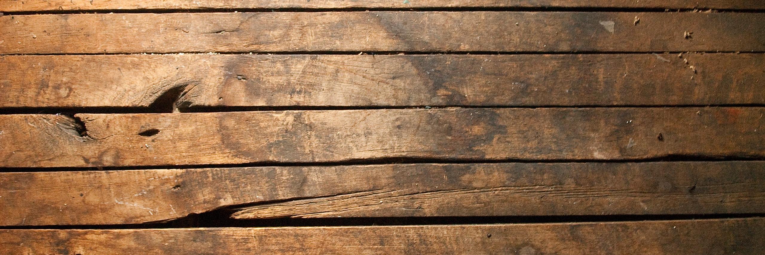 Steevesyy's profile banner image