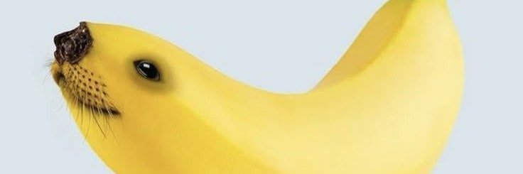Fries49RReal's profile banner image
