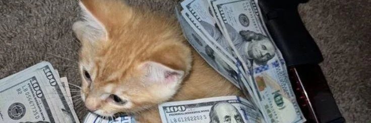 cheaptribber's profile banner image