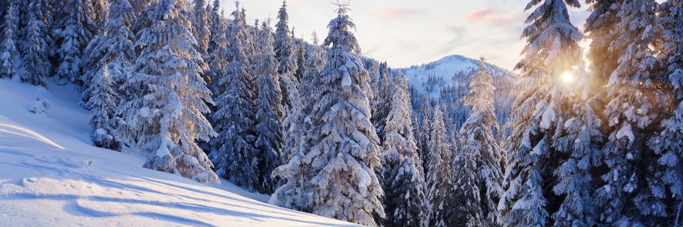 juliakuntzz's profile banner image