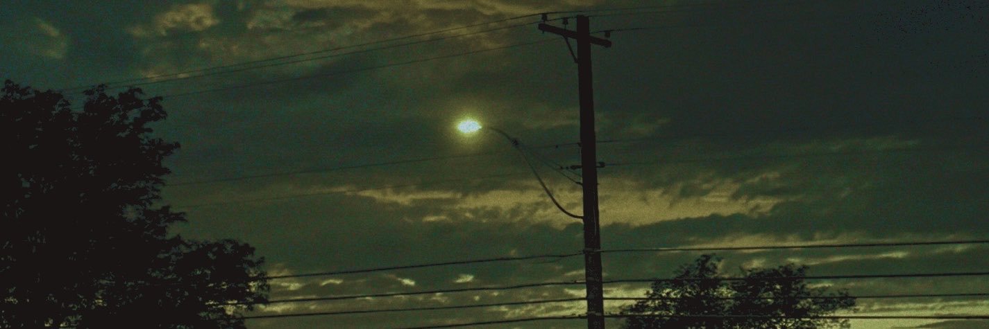 holologicality's profile banner image
