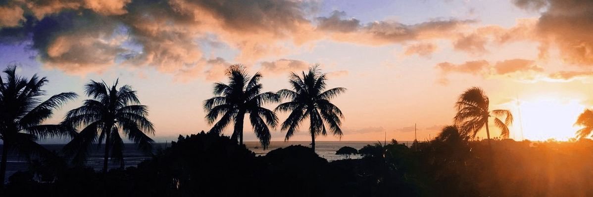 lilyurs5's profile banner image