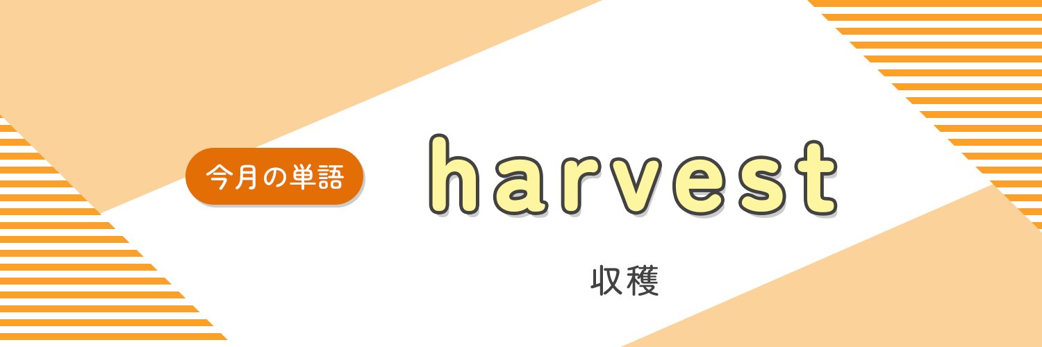 TOEIC_japan's profile banner image