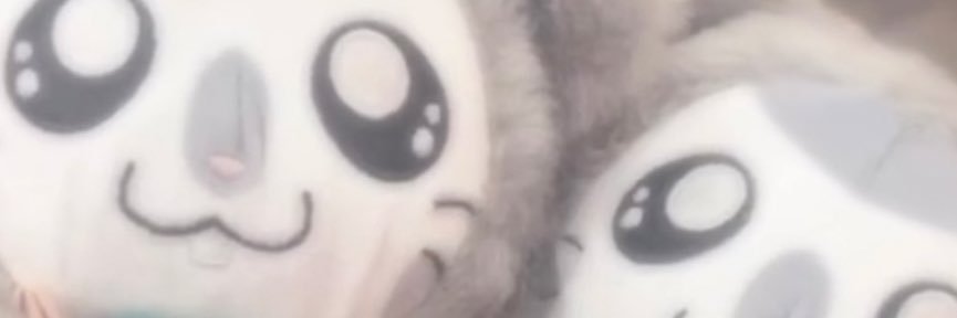 ねむる(՞_ ̫ _՞)ᐝ banner
