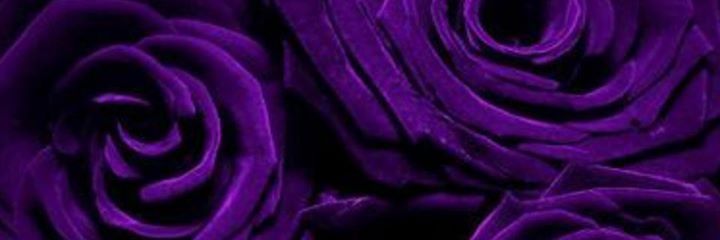 SusanBowman79's profile banner image