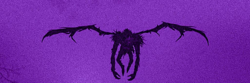 Nova & Indigo 🦇 banner