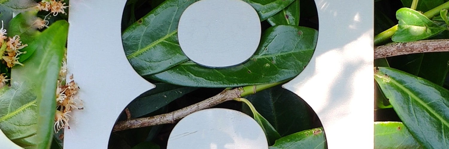 housenumbers's profile banner image