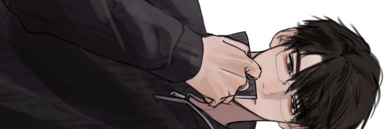 nia banner
