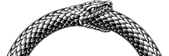 CicloDeVida banner