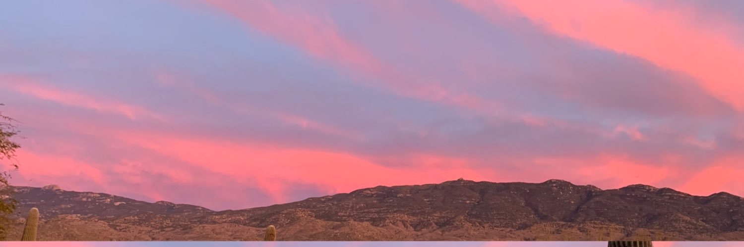 dhskee's profile banner image