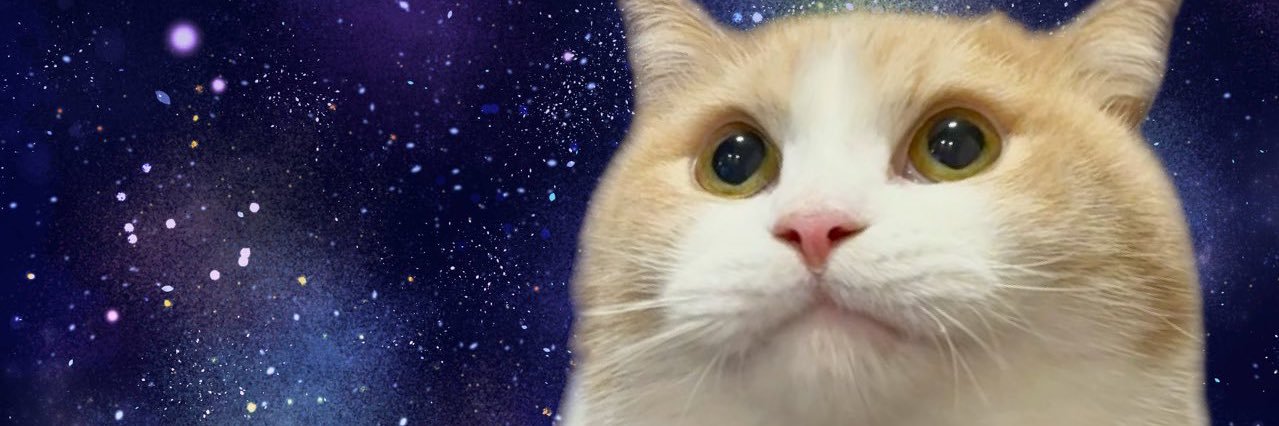 F__Ruuuuui's profile banner image