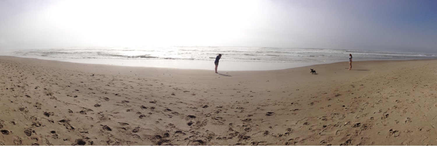 CoastalAmanda's profile banner image