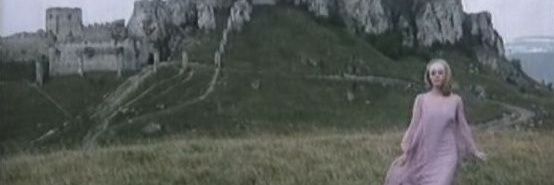 livette banner