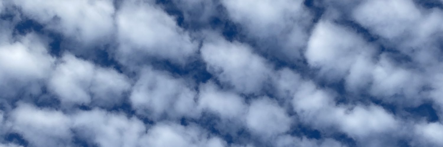 Angela Scanlon banner