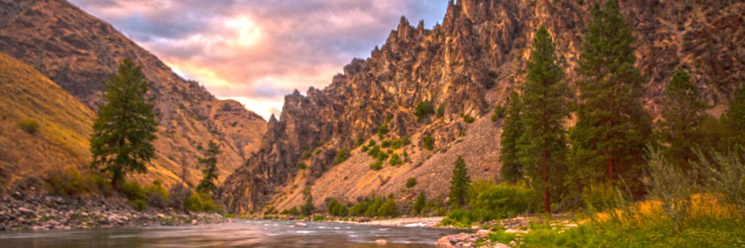bearlake's profile banner image