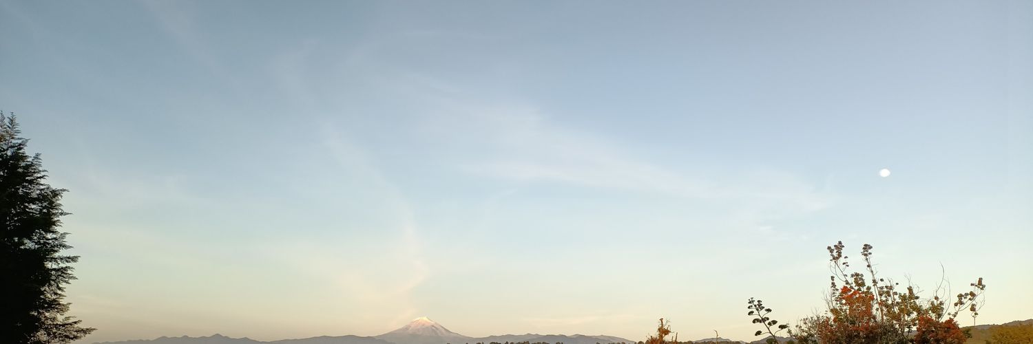 PalomaInfanzon's profile banner image