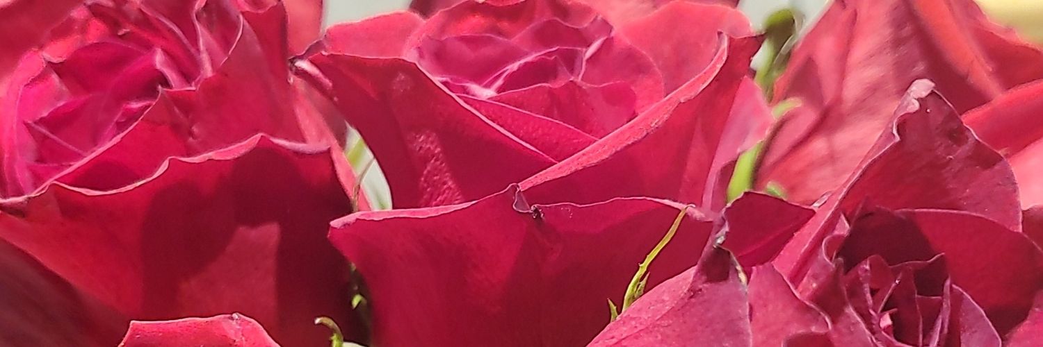 Daynerddx3's profile banner image