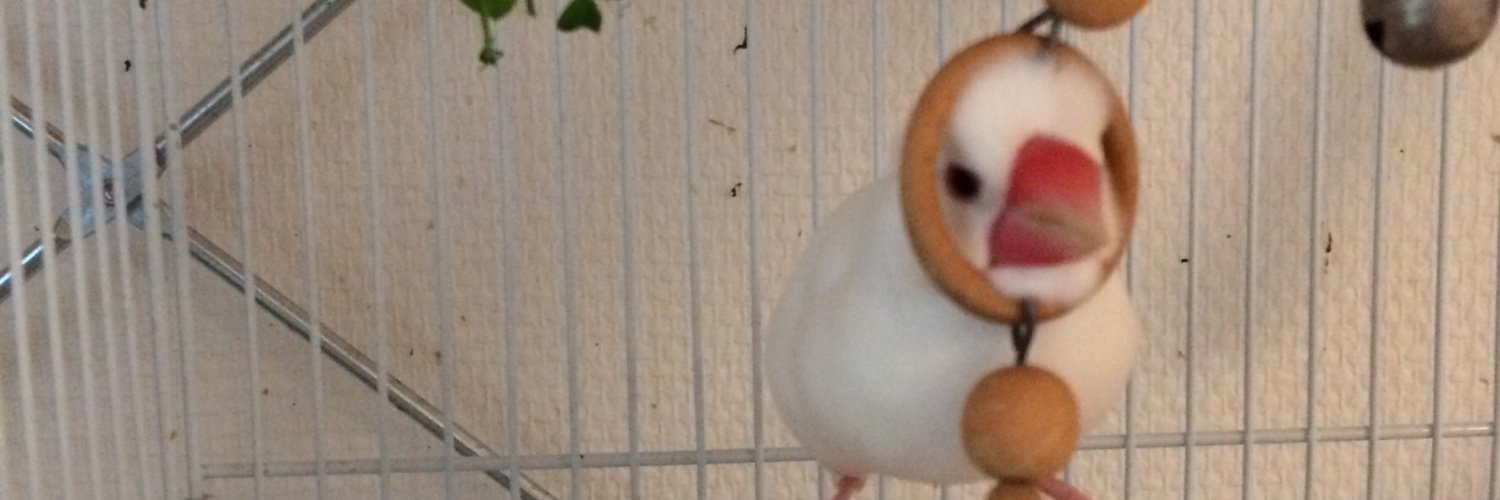 okotafu's profile banner image