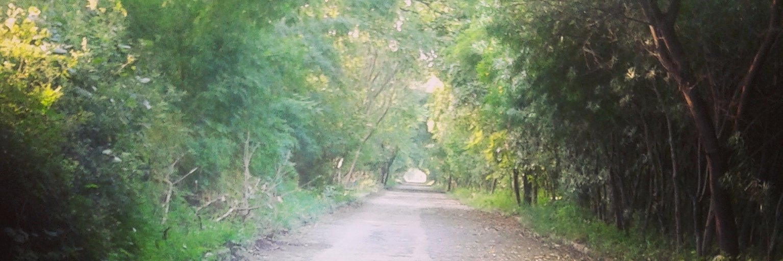 jayasingh69's profile banner image
