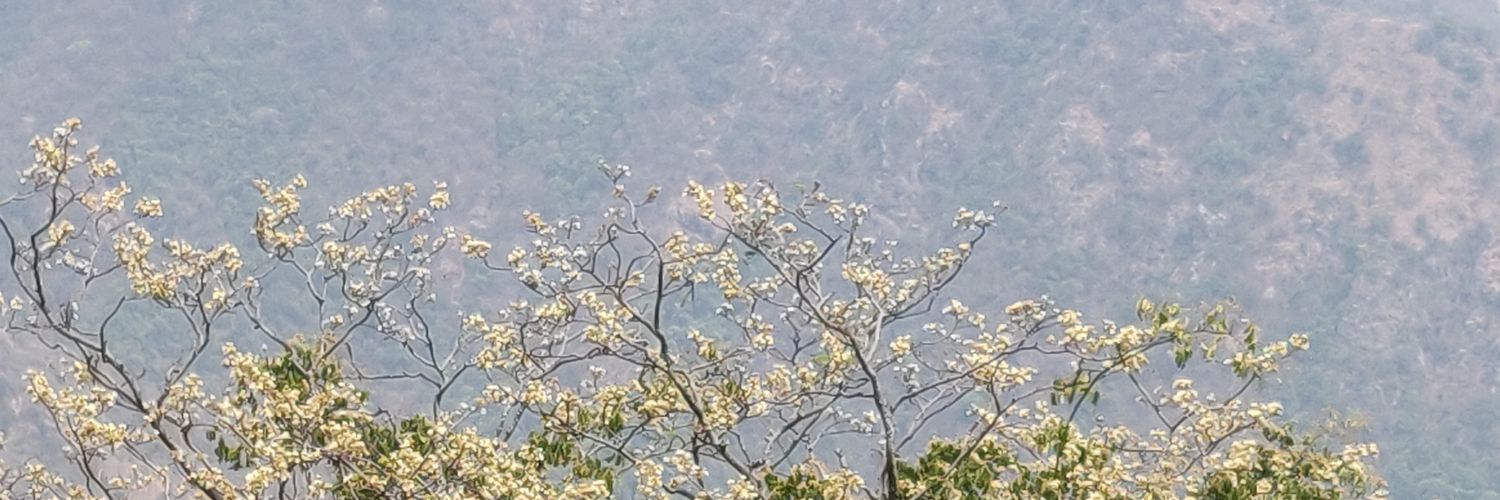 prashanth8286's profile banner image