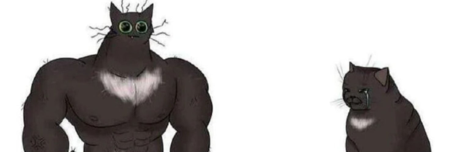 CONK banner