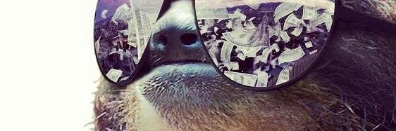 BrandenFerro's profile banner image