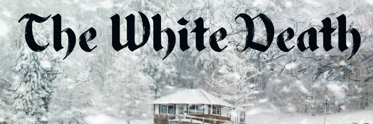 David McElroy banner