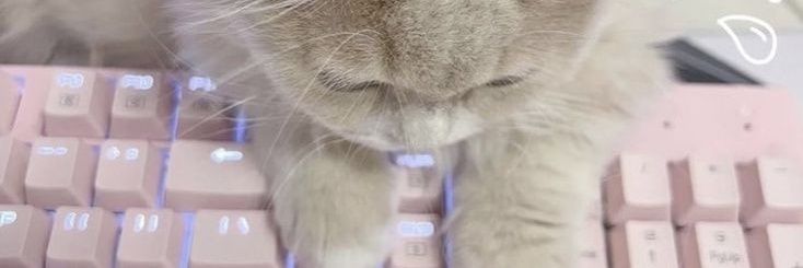 . 𐙚 ’ 𝗌σ𝖿𝗂 .ᐟ banner