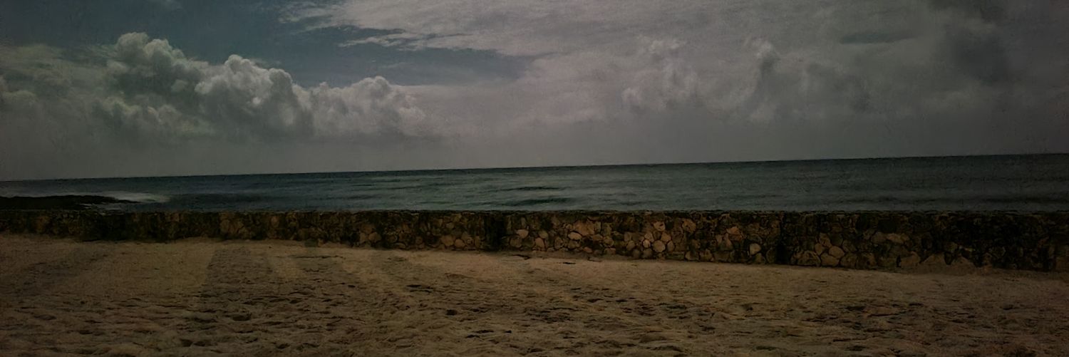 Titian Costea banner